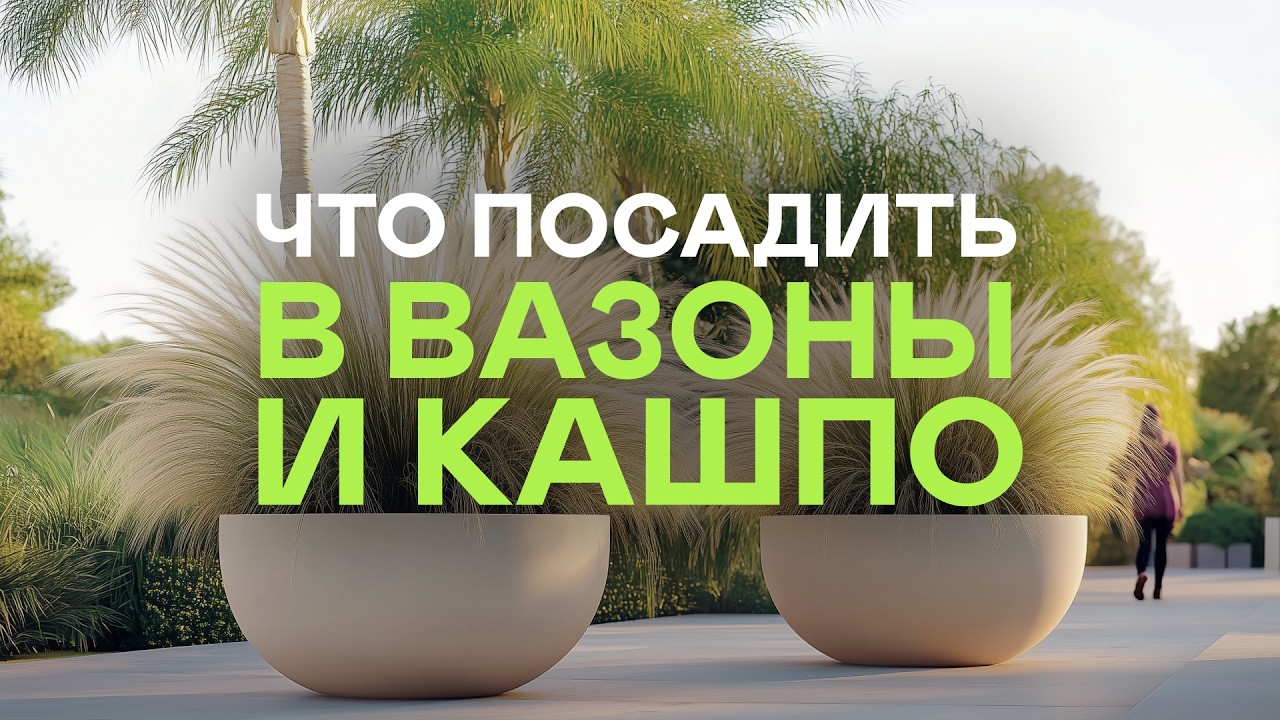 14 многолетников для контейнерного озеленения (ЛУЧШАЯ ПОДБОРКА в интернете)