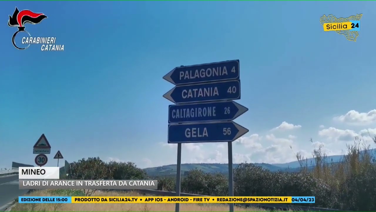 Da Catania a Mineo per fare il &ldquo;pieno&rdquo; di arance: tre catanesi arrestati dai carabinieri