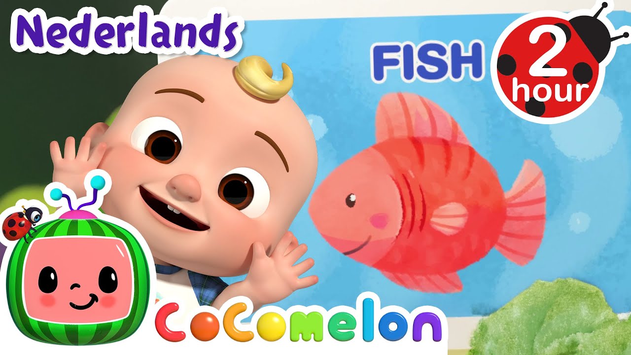 Vis liedje 🐟🐟 | CoComelon Nederlands - Kinderliedjes