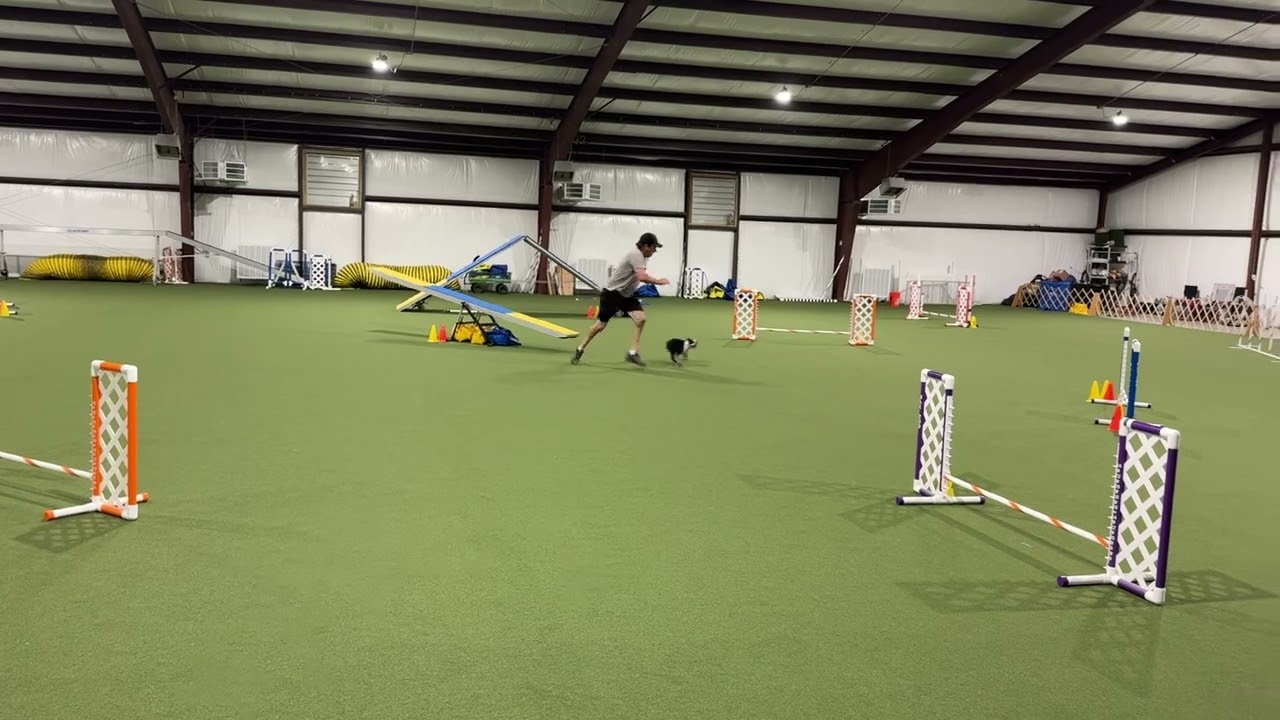 Smidgen AKC Agility League Season 10 Round 3