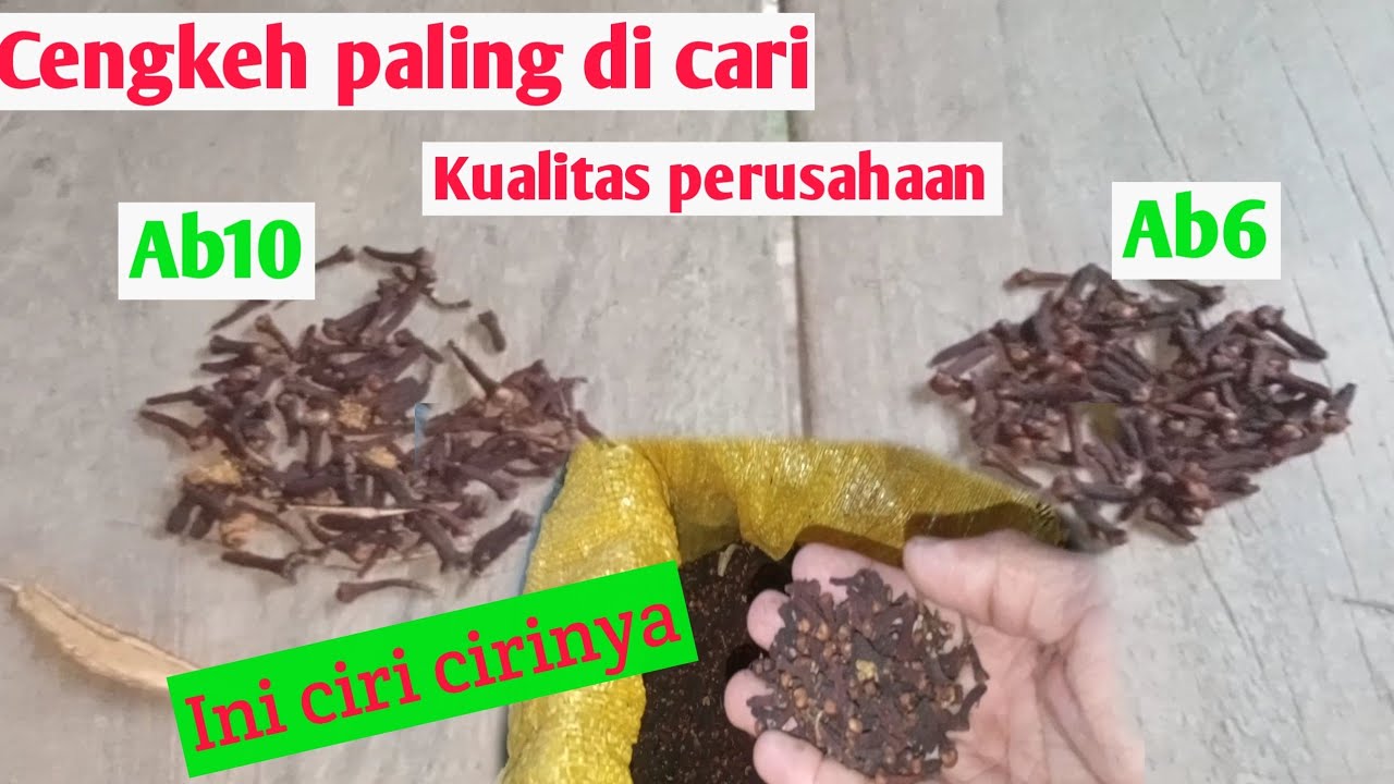 Pengertian dan ciri-ciri Cengkeh kualitas Ab6 dan Ab10.