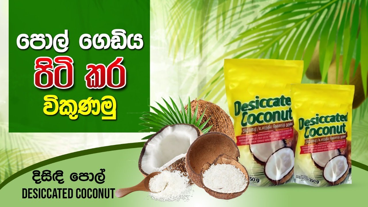How make Desiccated coconut, BST Saman, දිසිදි පොල්, Biosystems Technology