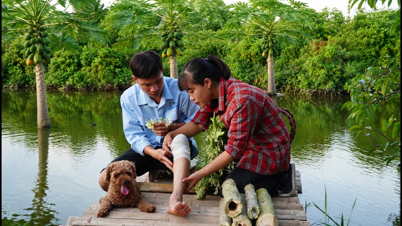 De injured in a work accident-The miraculous effects of papaya in treating bone and joint diseases