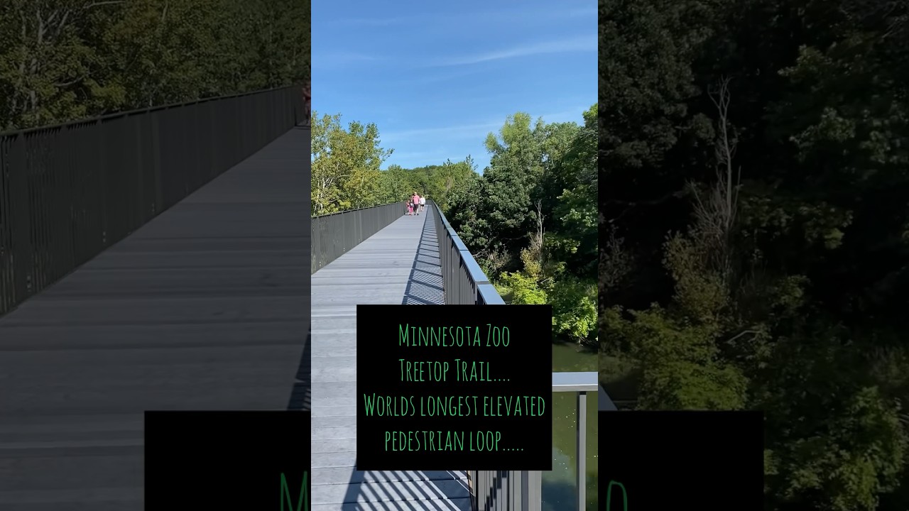 Minnesota Zoo Treetop Trail: worlds longest elevated pedestrian loop #minnesota #fyp