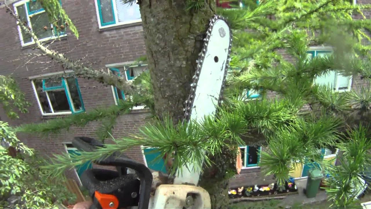 Larix kappen Alphen aan den Rijn.