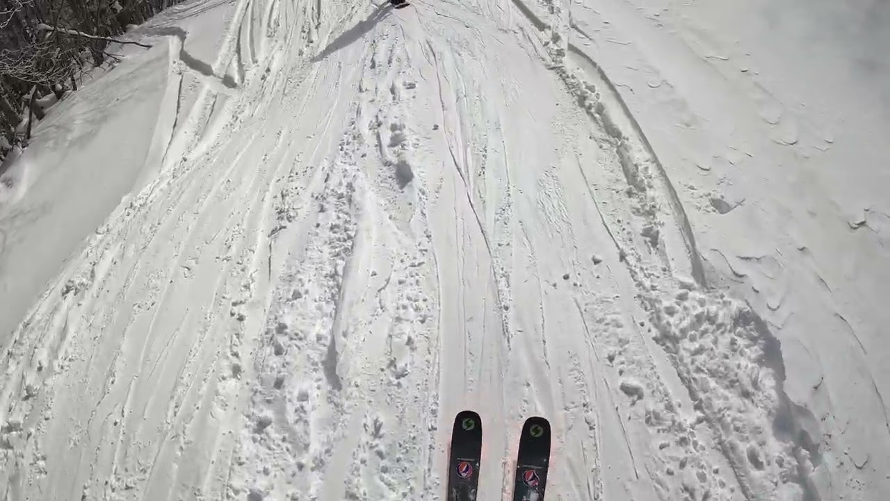 Middlebury Jan 31 2026 C