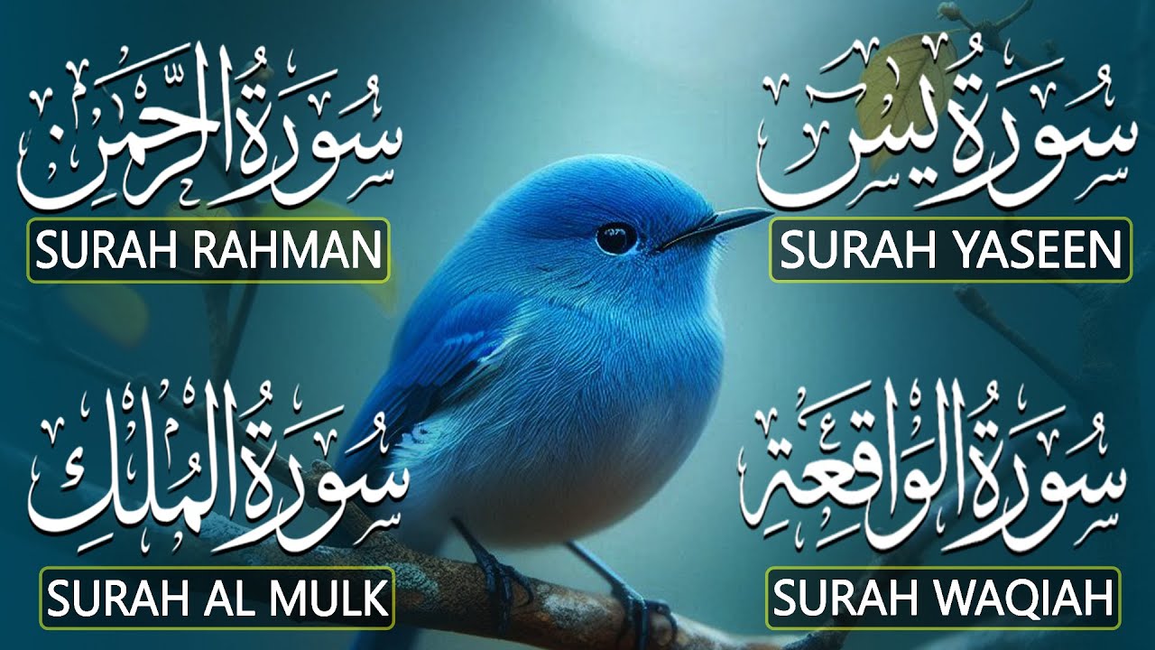 Relax Your Mind Through Quran Tilawat That Soothes Hearts | Surah Yasin  Ar-Rahman Al-Waqiah Al-Mulk