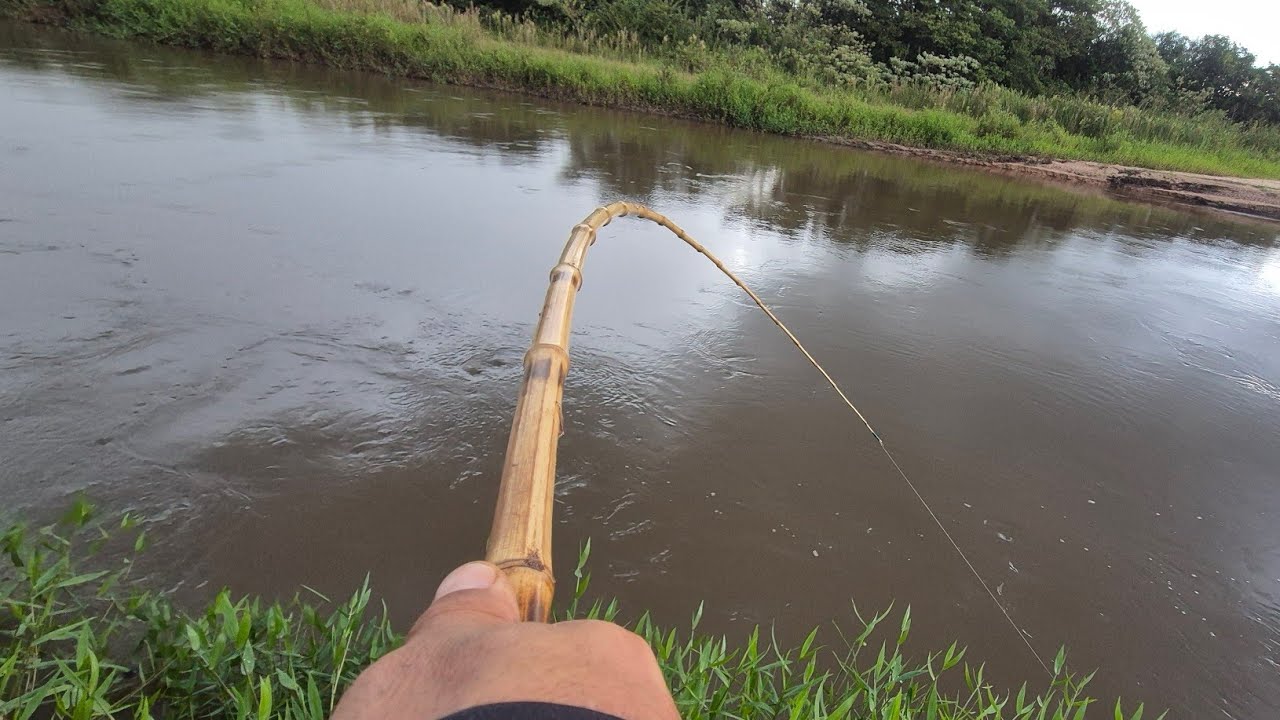 PESCARIA DE RODADA, SAIU DE TUDO, A MELHOR PESCA!!!
