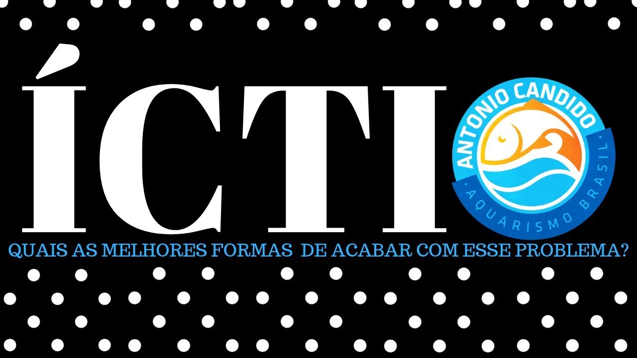 ICTIO COMO EXTERMINAR ESSE PROBLEMA PARA SEMPRE DO SEU AQUÁRIO!(corrigido)