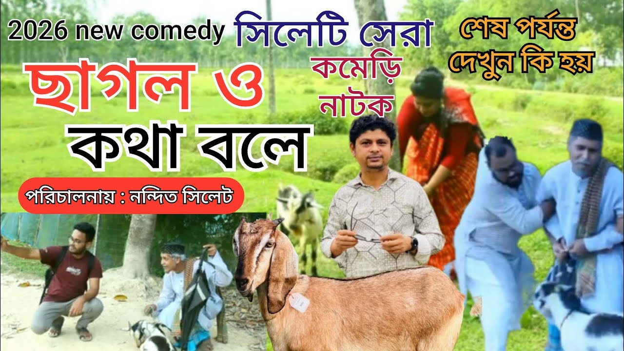 ছাগল ও কথা বলে #shyleti_natok #comedynatok #full_natok #drama #সিলেটি_নাটক #2026 #নাটক 