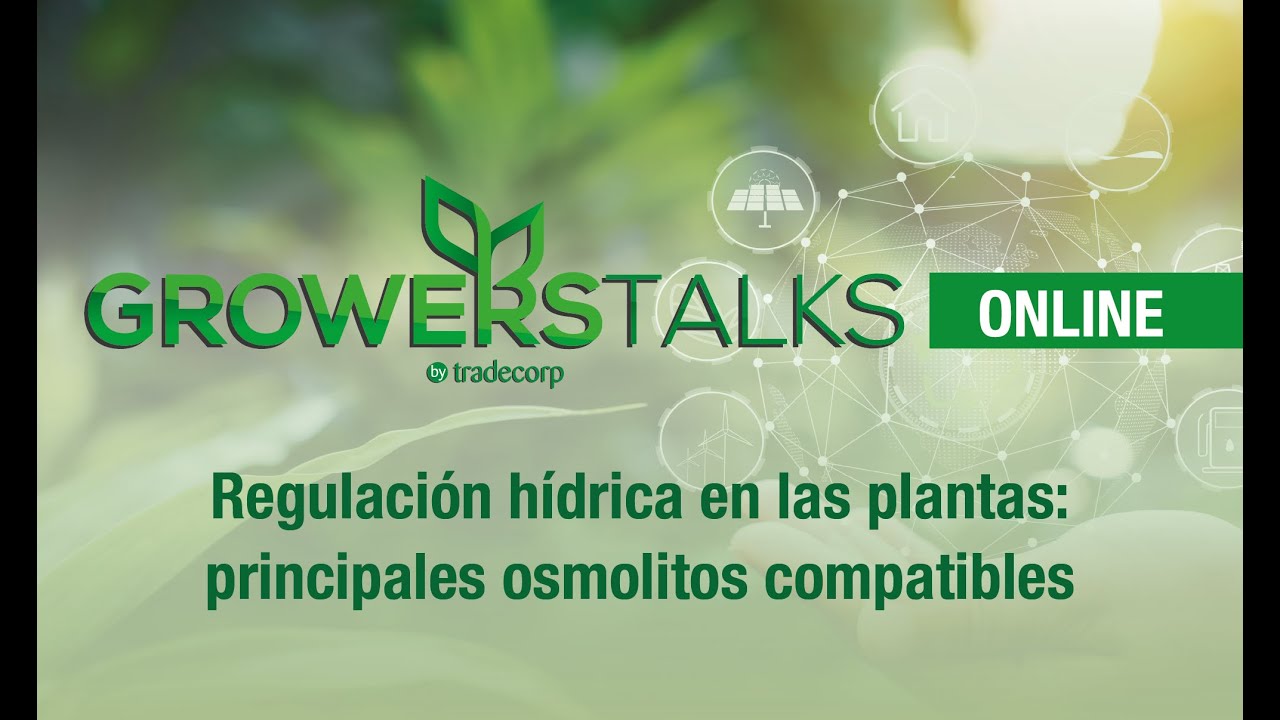 Regulación hídrica en las plantas: principales osmolitos compatibles (2 de 6)
