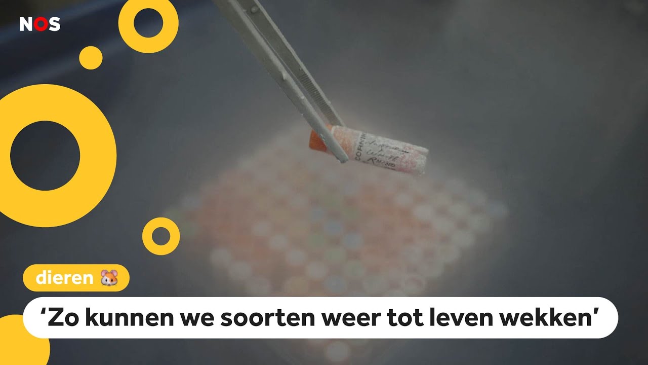 In deze diepvries-dierentuin worden uitgestorven dieren bewaard