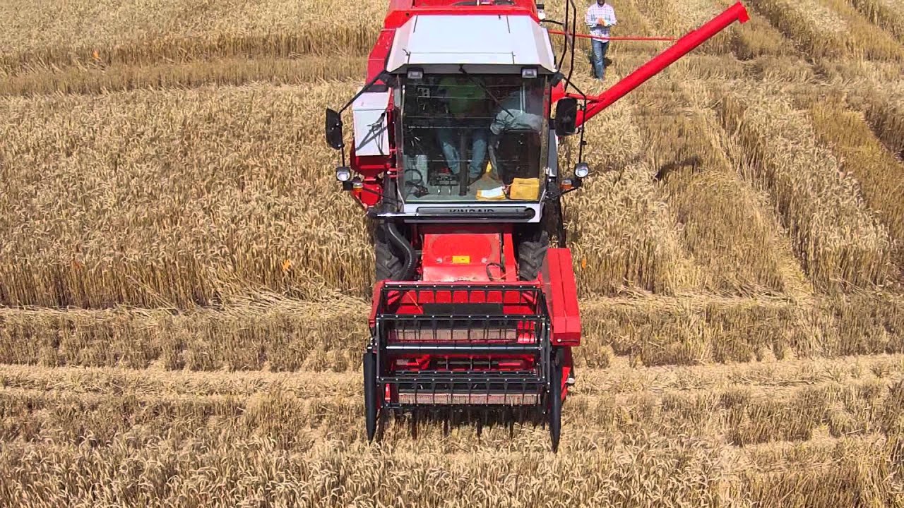 Wheat Harvest, Research style