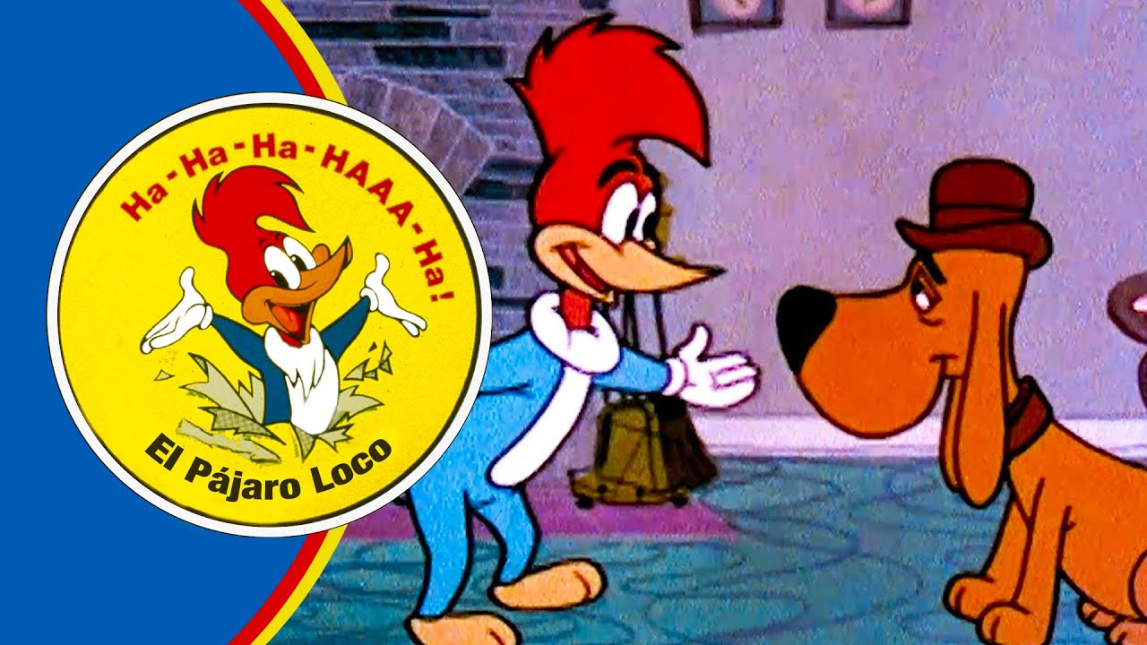 ¡El perro parlante de Woody! | 2.5 Horas de Episodios Clásicos | El Pájaro Loco