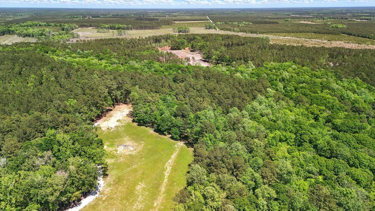 NEW LISTING: Lot 10 Fish Road Ridgeville SC 29472