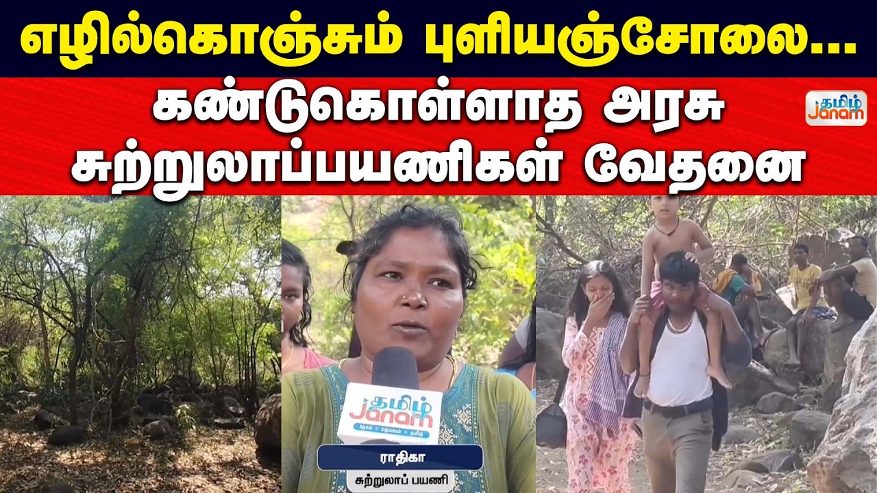 எழில்கொஞ்சும் புளியஞ்சோலை... கண்டுகொள்ளாத அரசு சுற்றுலாப்பயணிகள் வேதனை