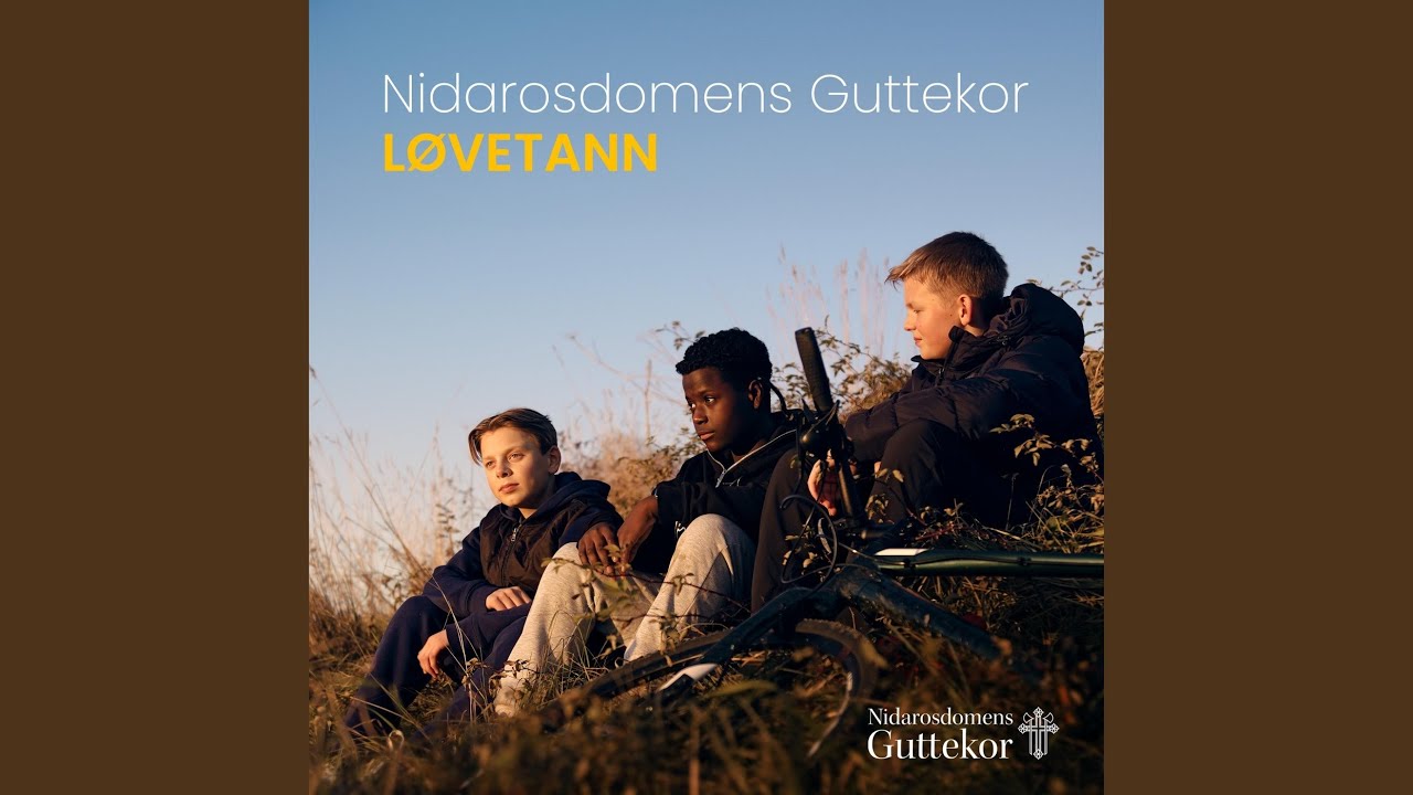 Løvetann