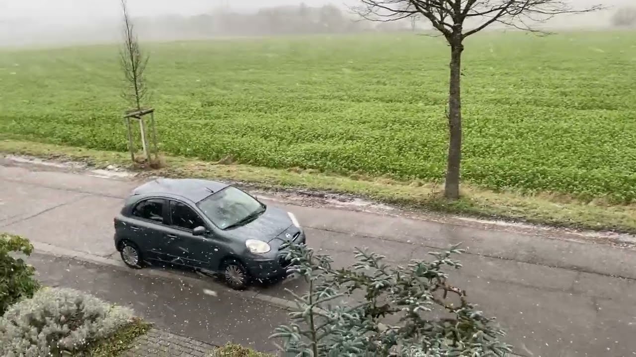 WINTER