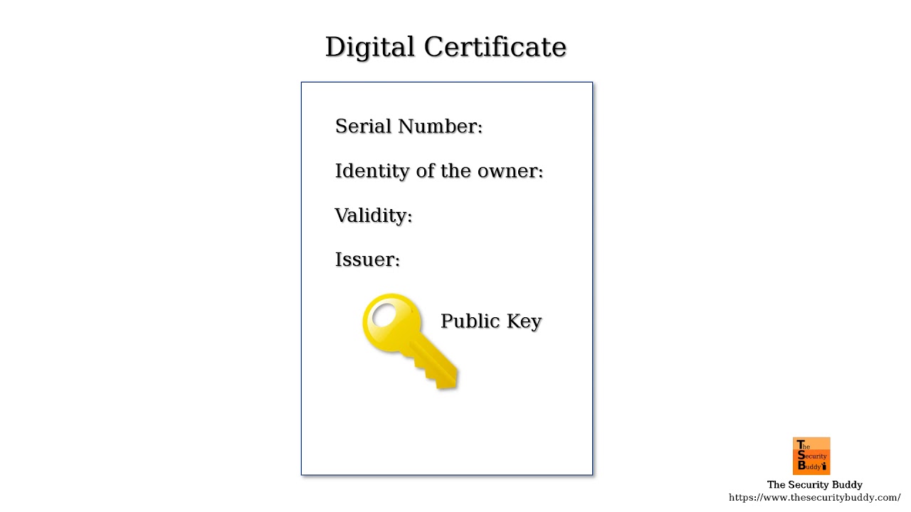 What is a Certificate Authority (CA)?