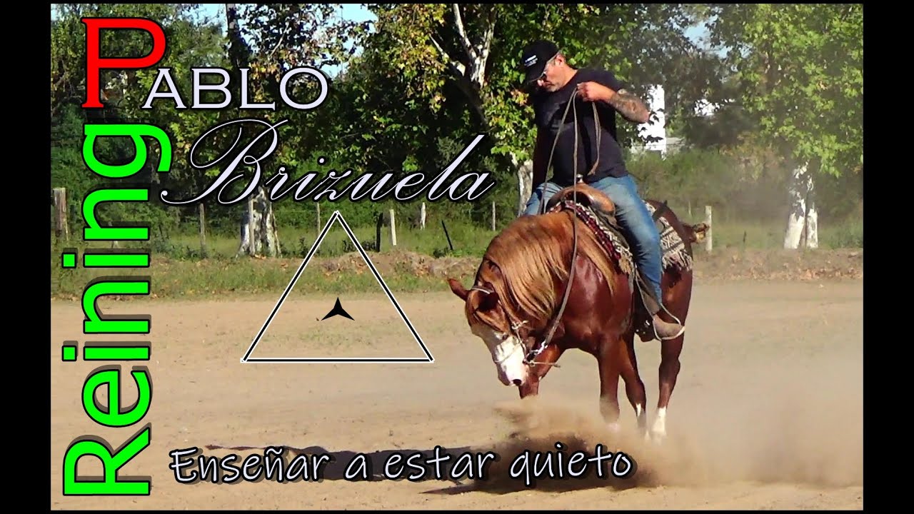 ENSEÑAR A ESTAR QUIETO .