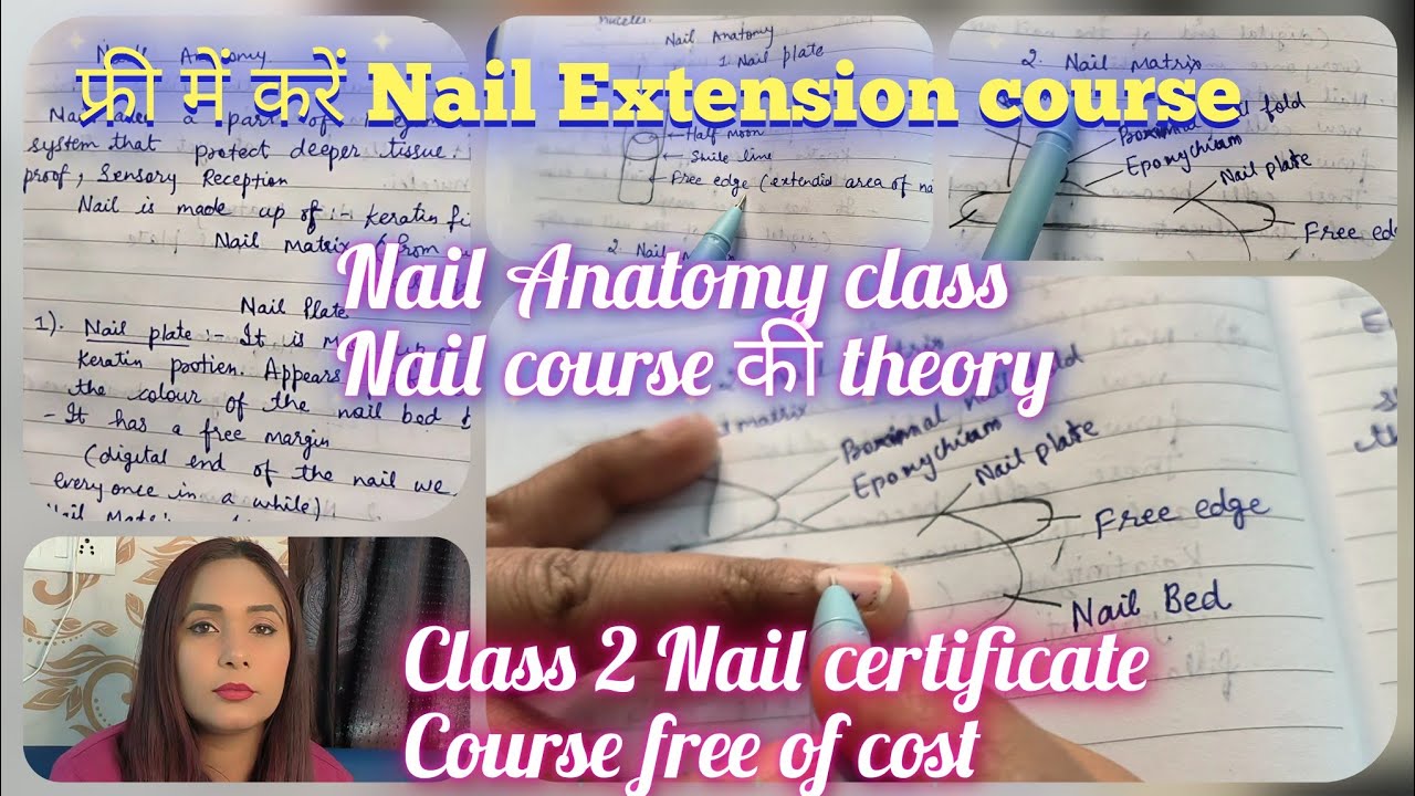 Free Nail Extension course ||Most Important class||Nail Anatomy Day 2@jotgrewalmakeupartist