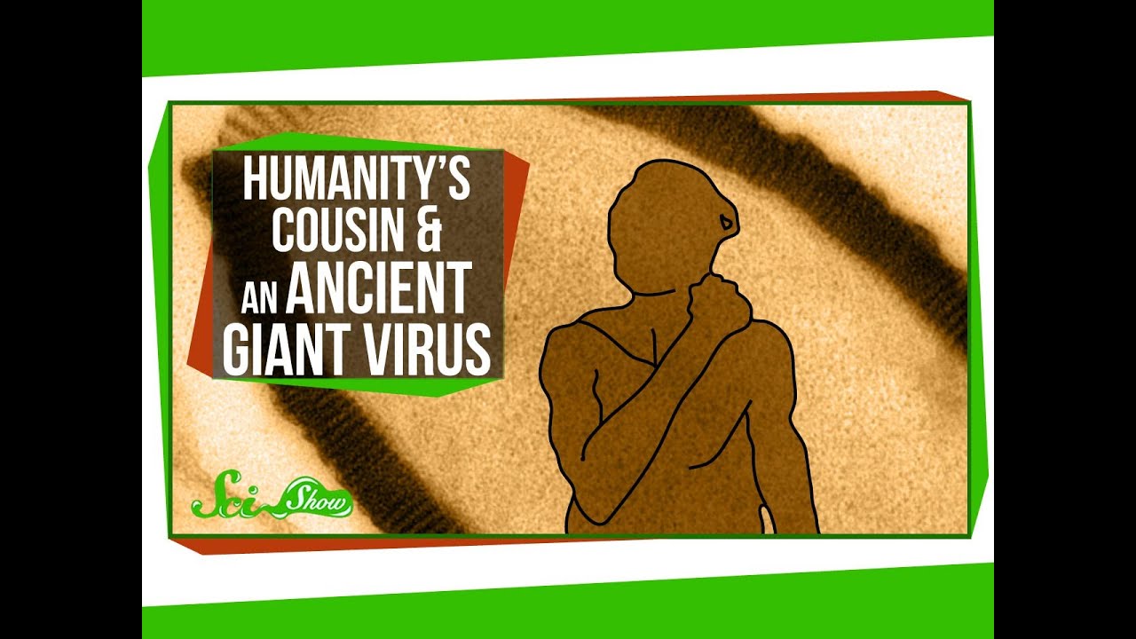 Humanity's New Cousin & An Ancient Giant Virus