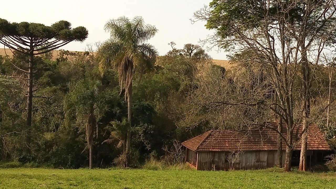 Aposentada Vai ao Quintal e Cai Dentro da Fossa e Fica Por Dois Dias dentro do Buraco