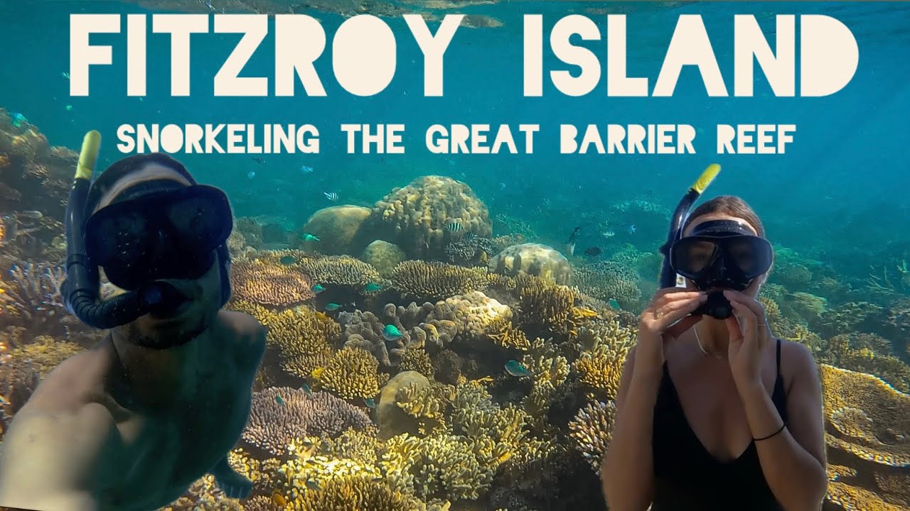 Snorkeling the Great Barrier Reef - Fitzroy Island
