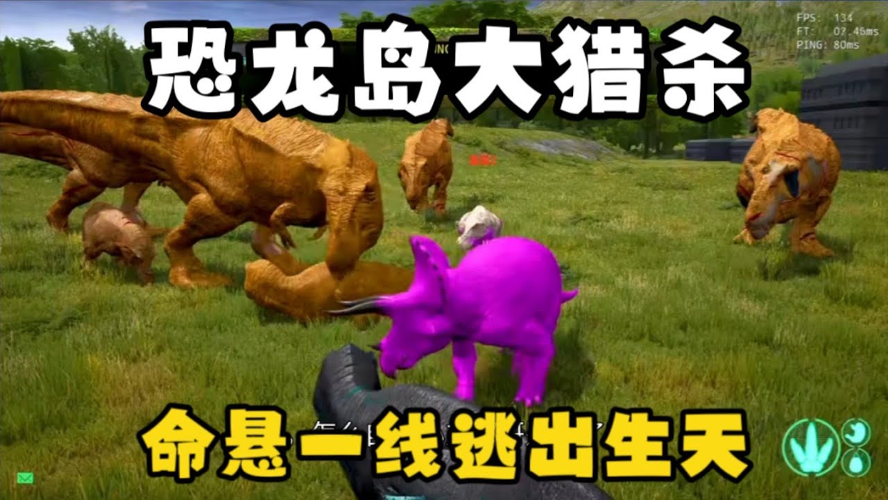 【合集11】恐龙岛大猎杀：霸王龙要被拉成猪，冒着被噶的风险逃出生天！！#恐龙岛  #憨豆