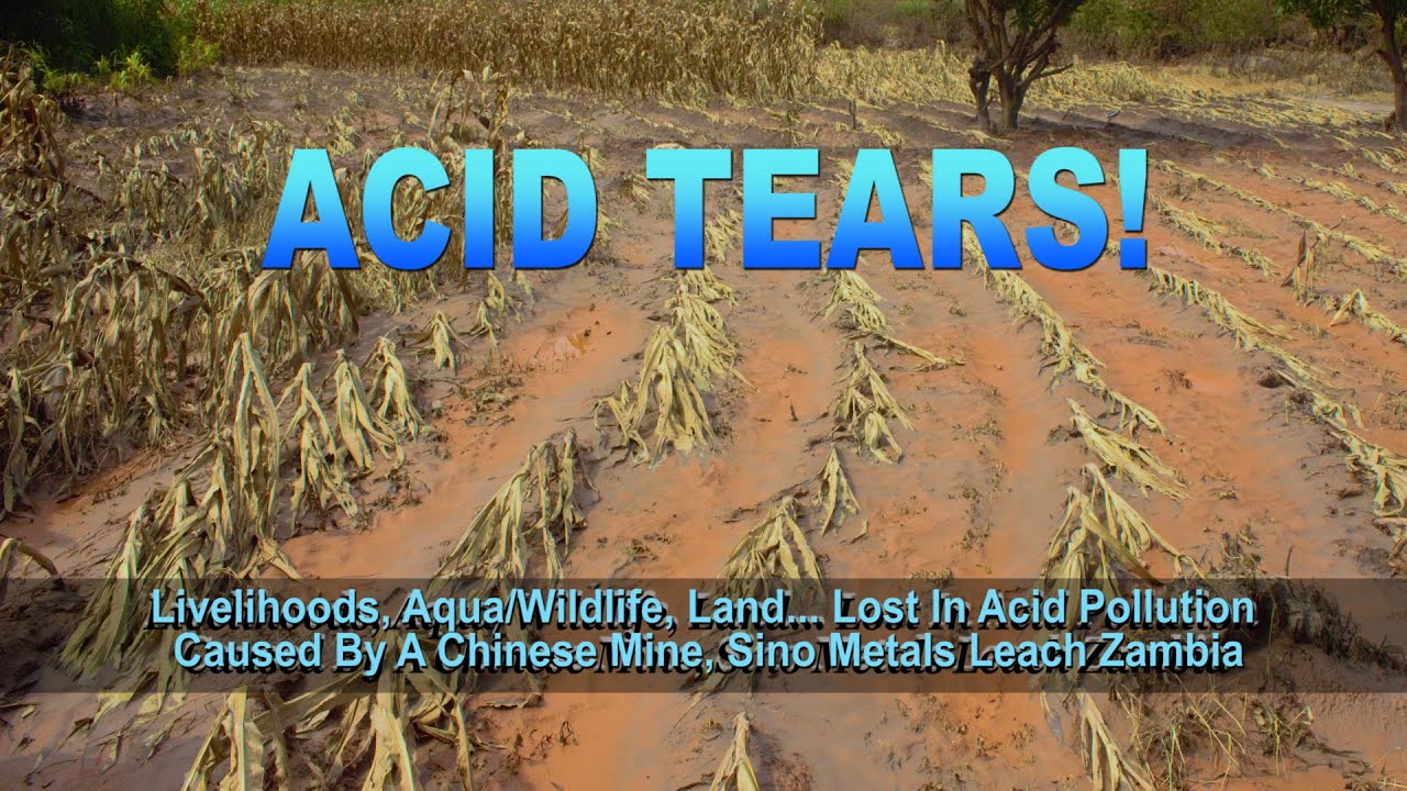 ACID TEARS!