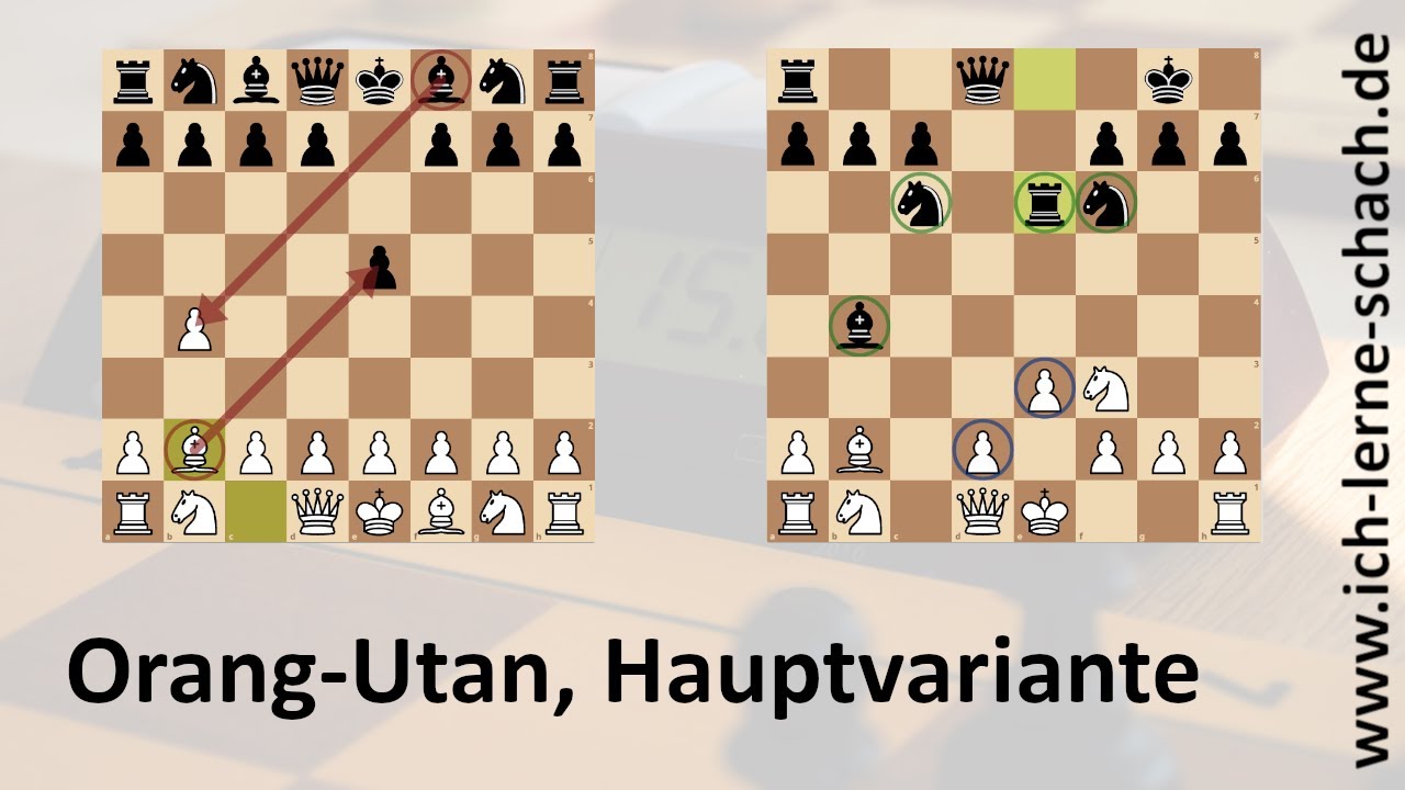 Die Orang-Utan-Eröffnung, Hauptvariante