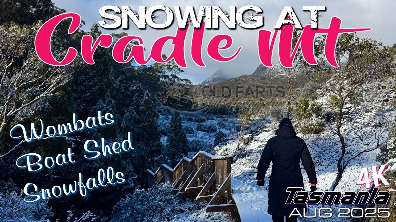 Snow at Cradle Mt Tasmania Aug 2025