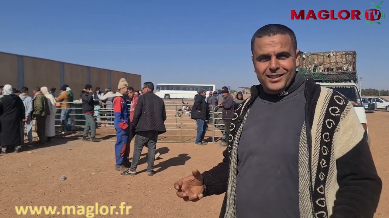 ابزو- ايمداحن : التجمع المحلي لمربي الاغنام و الماعز ينظم يوما للانتقاء و الوششم للقطيع. البكراوي مص