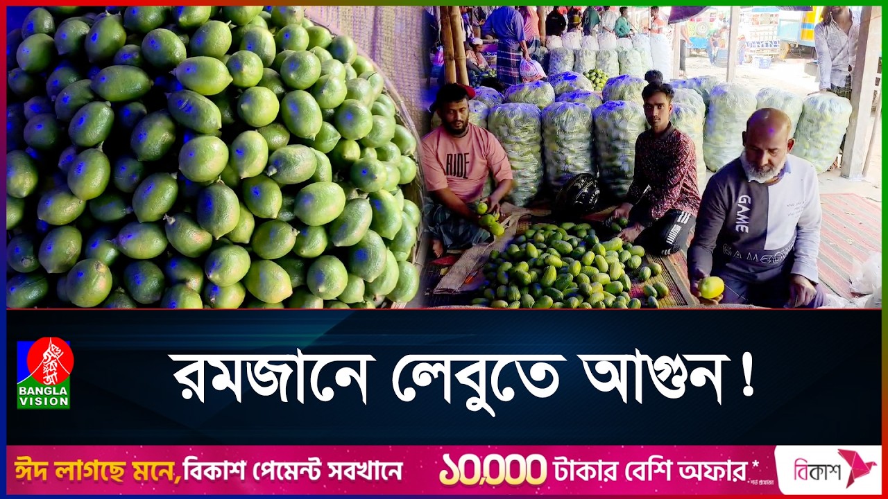 ফের সিন্ডিকেটের থাবায় লেবু, চাহিদার অজুহাতে চড়া দাম