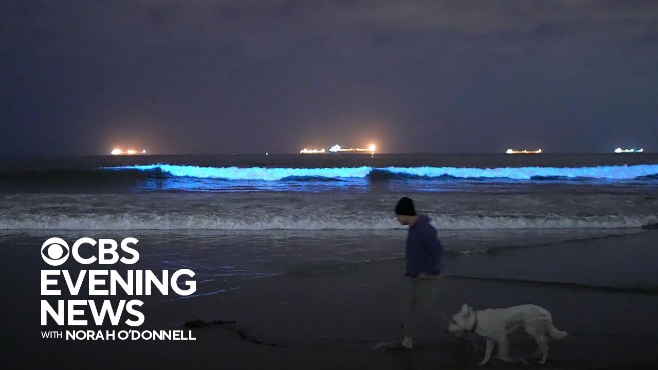 Bioluminescence lights up Southern California&rsquo;s coastal waters
