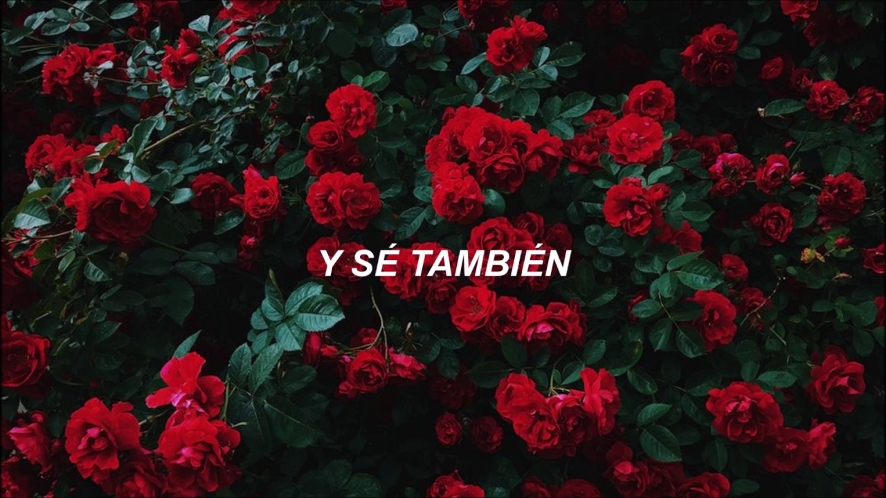 Belanova — Por Ti [Letra]