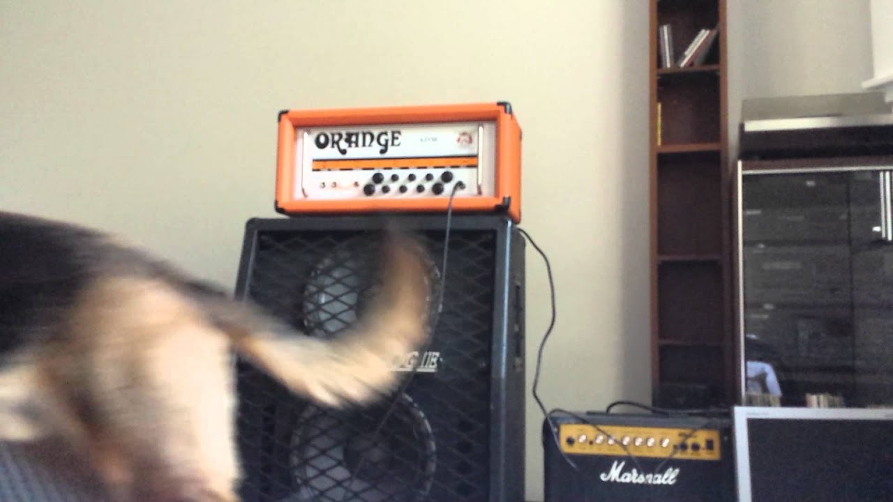 Es335 Orange ad30
