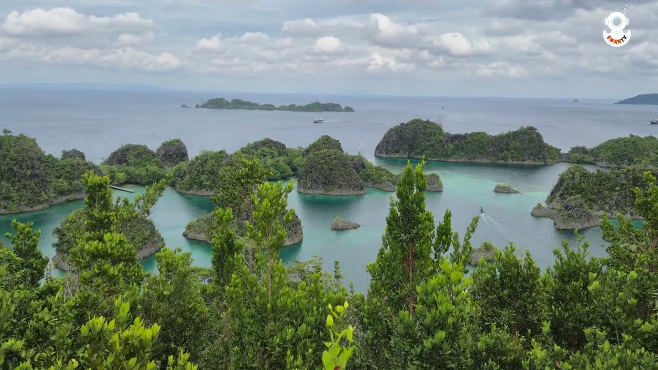 Nurkowanie Indonezja Raja Ampat luty 2026 - FAM Islands spot
