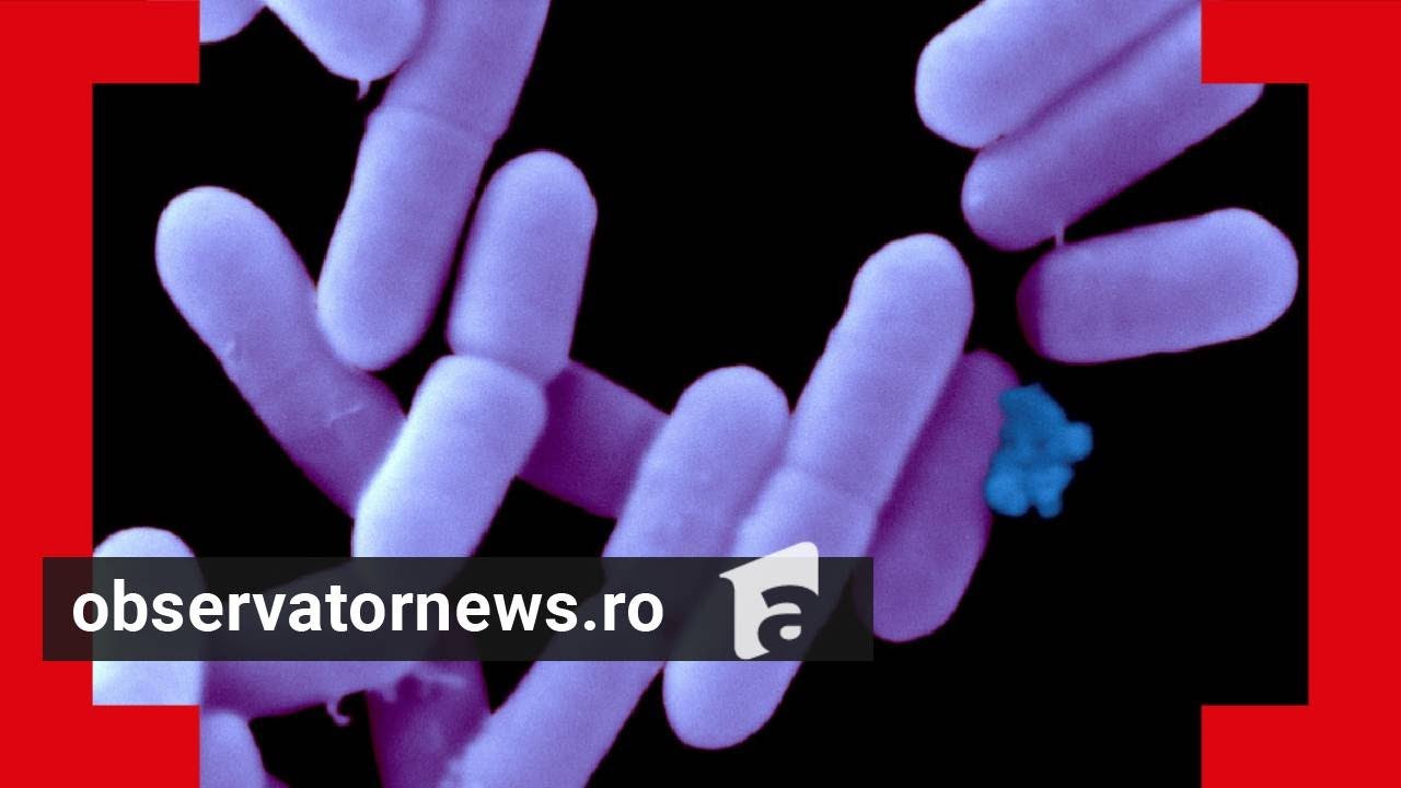 Un bărbat a murit de listerioză, o boală provocată de o bacterie găsită în alimente