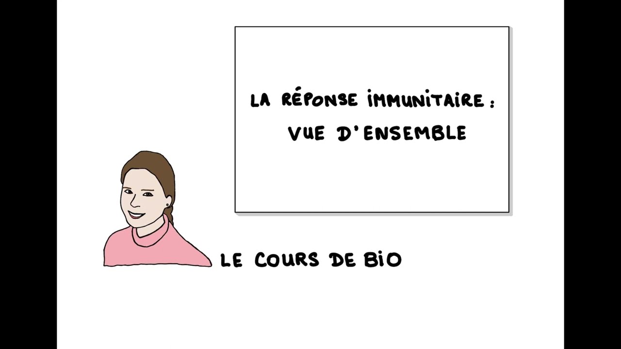 La réponse immunitaire : vue d’ensemble