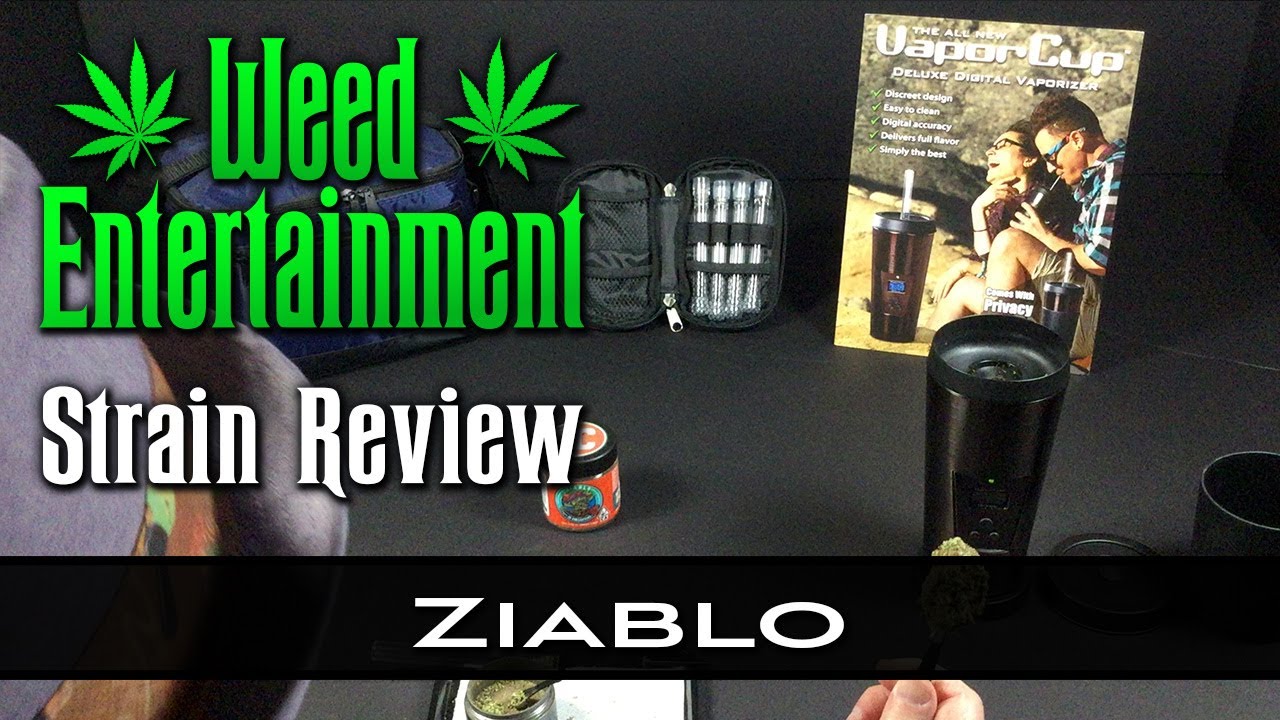 Ziablo - Hybrid - by IC Collective - Strain Review - from Buds & Roses, Studio City, Ca
