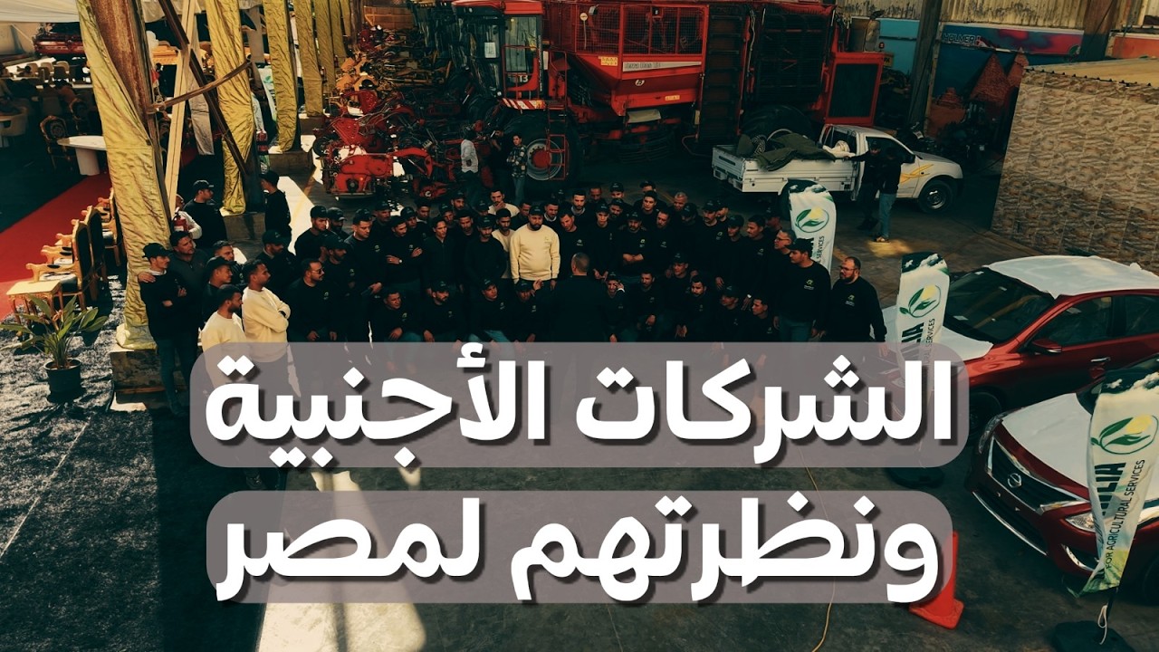 نظرة ممتازة لمصر في الزراعة من الشركات الأجنبية للمعدات الثقيلة والتقاوي