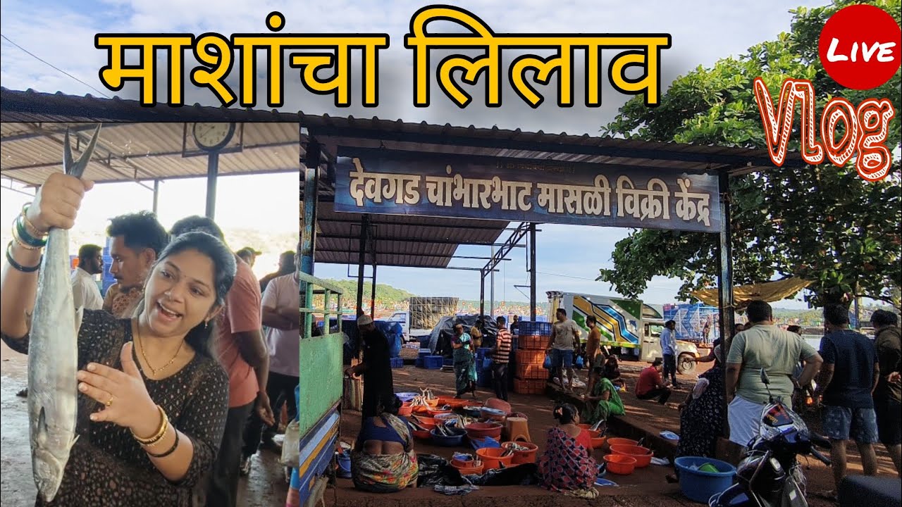 देवगड बंदरावरील माशांचा लिलाव | Fish Auction | Vlog | Mrudula Home Kitchen 