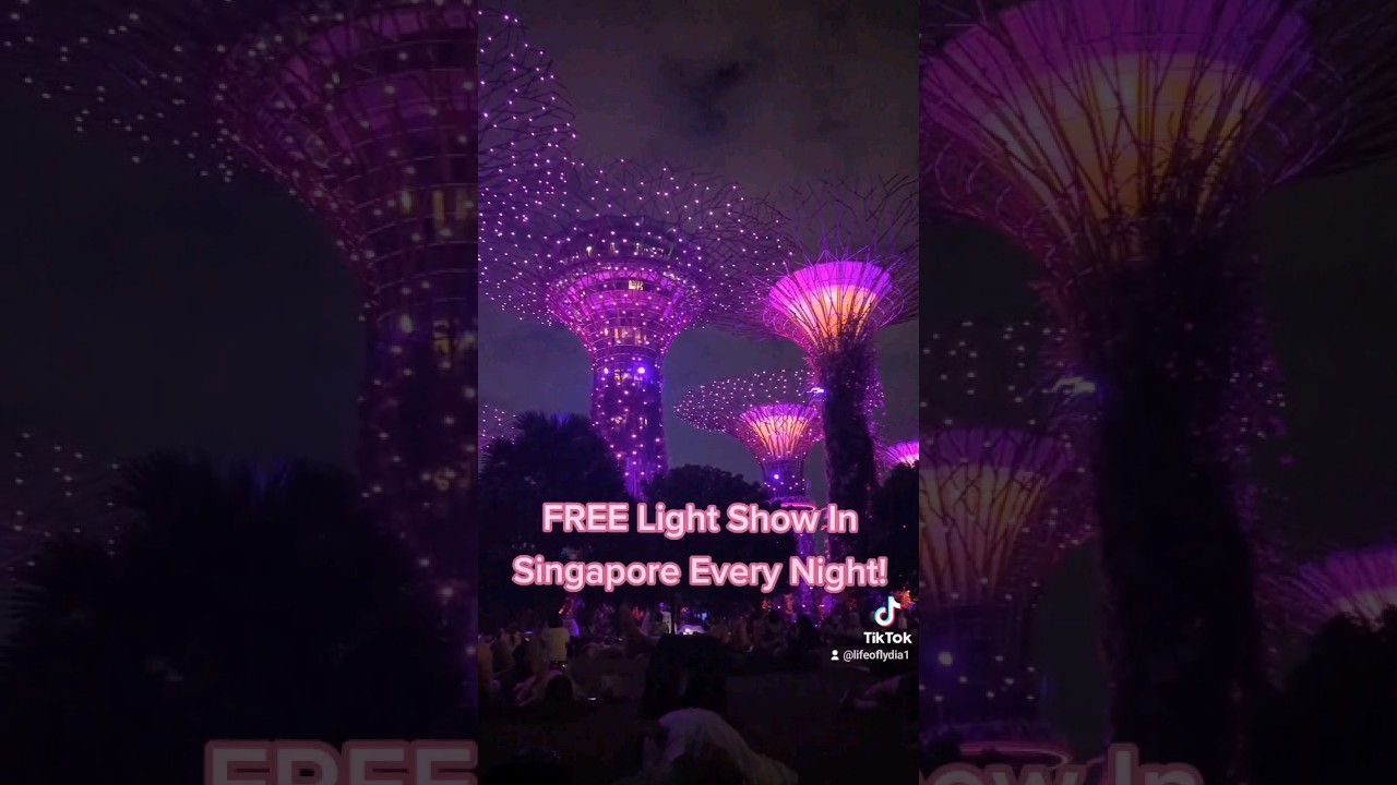 🇸🇬FREE Singapore Light Show EVERY NIGHT!🙀 #gardensbythebaysingapore #marinabaysingapore #singapore