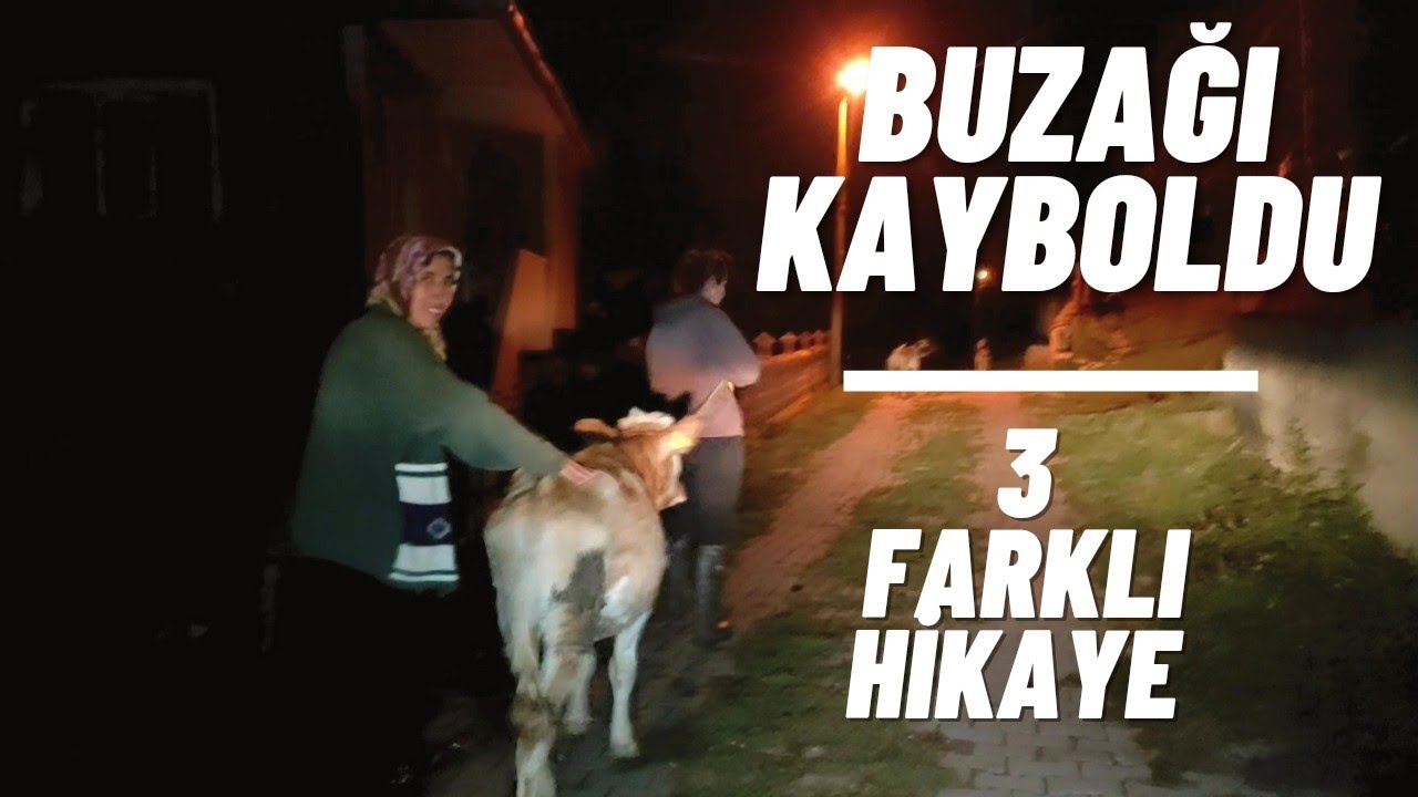 Ortaya Karışık 5 - Kayıp Buzağı - Yeni Köy Evi Bahçe Turu