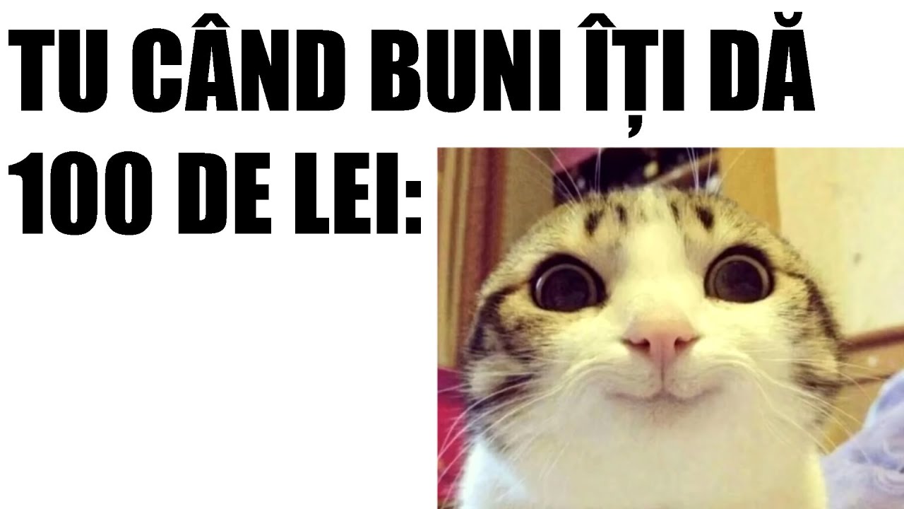 Text2Meme Romania | Meme-uri Pentru TINE