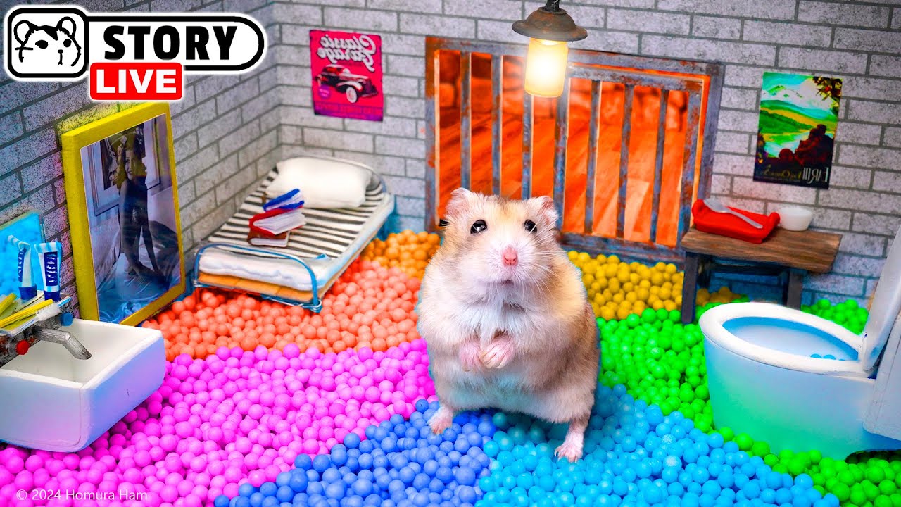 Эпический Побег Хомяка Грабителя из Тюремного лабиринта 🐹 Хомура Хам