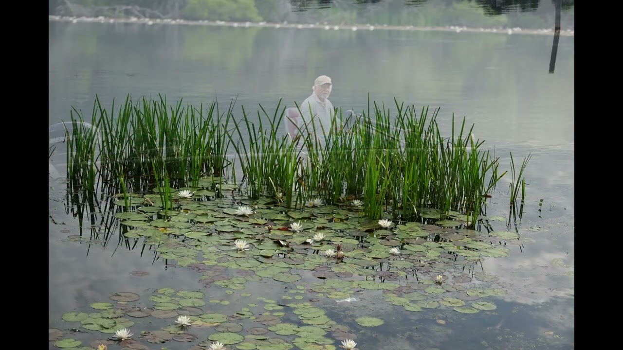 Camping at Frank Jackson State Park May 2024