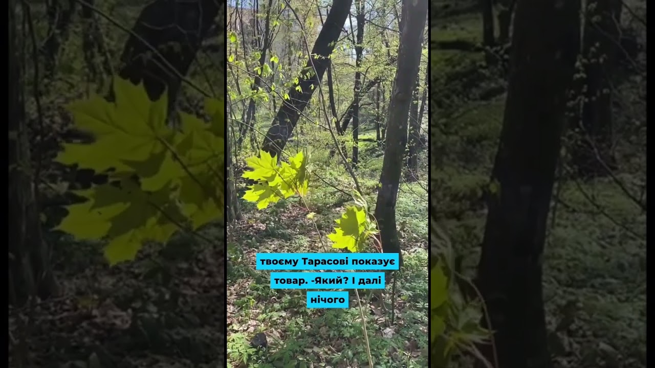 Майстриня переконувати