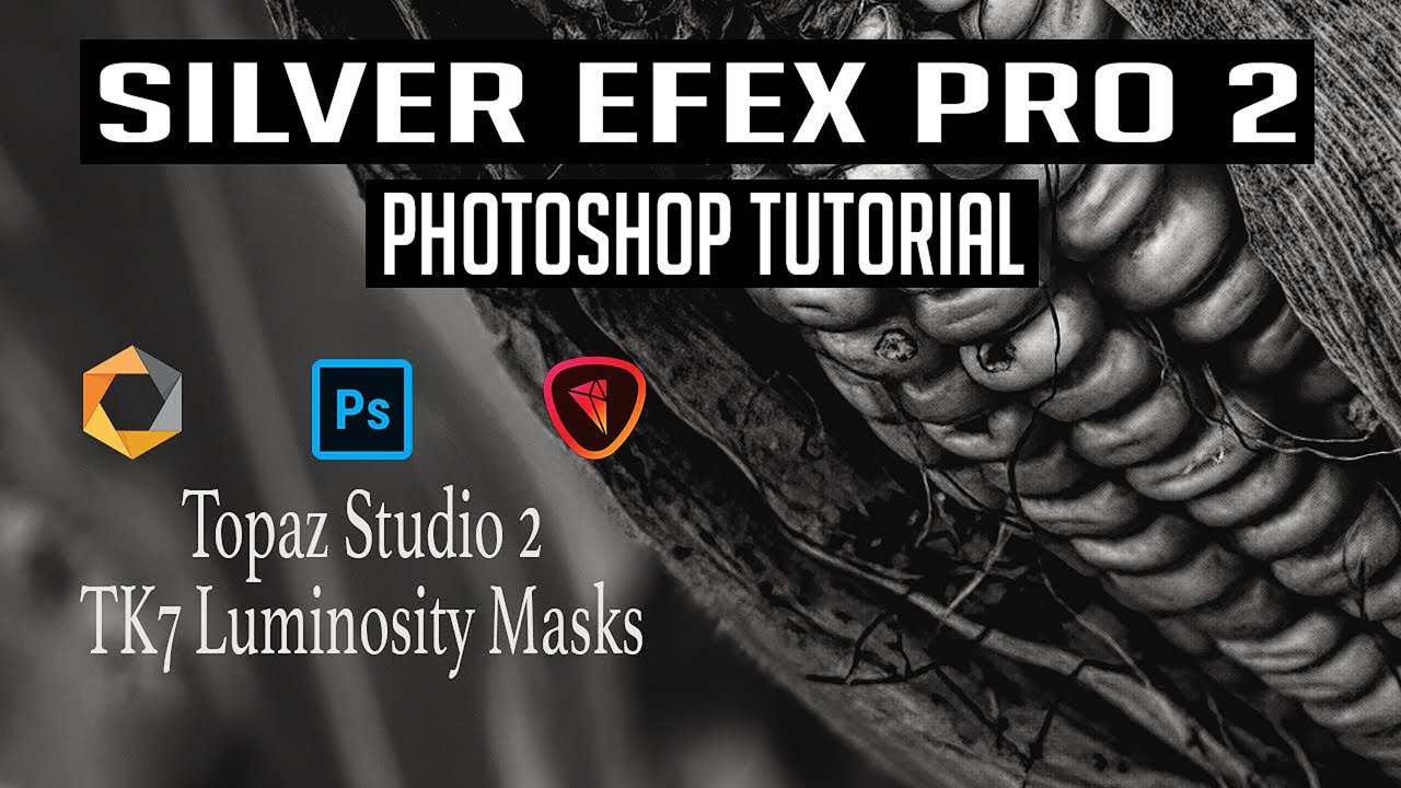 Ч/Б КОНВЕРТАЦИЯ: PHOTOSHOP, SILVER EFEX PRO 2, TOPAZ STUDIO 2 и маски яркости TK7...